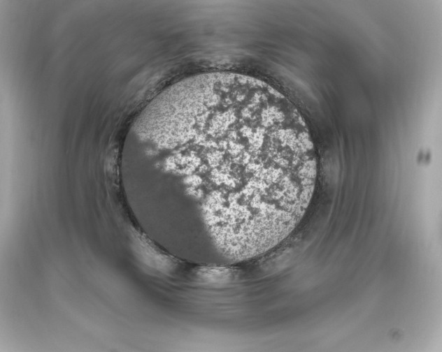 X0000093620181200711051246