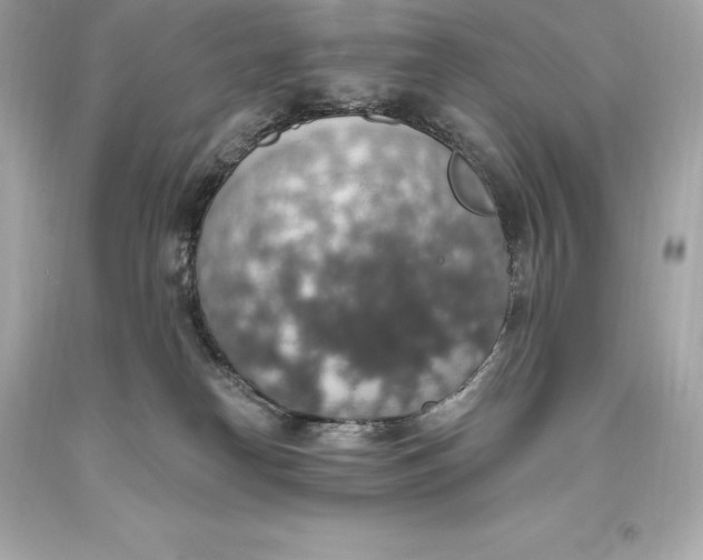 X0000093620182200711051246