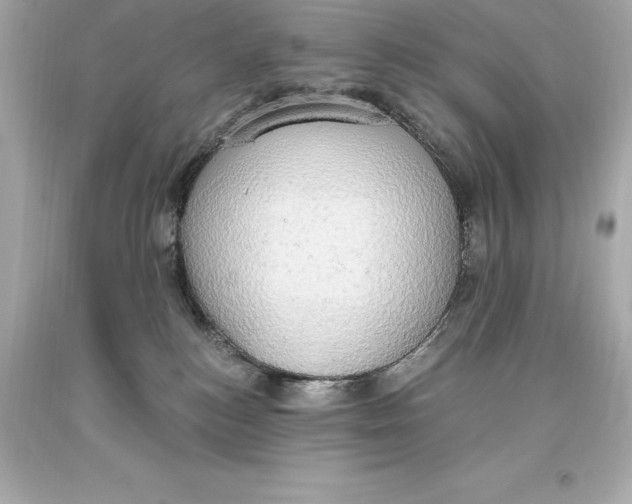 X0000093620184200711051246