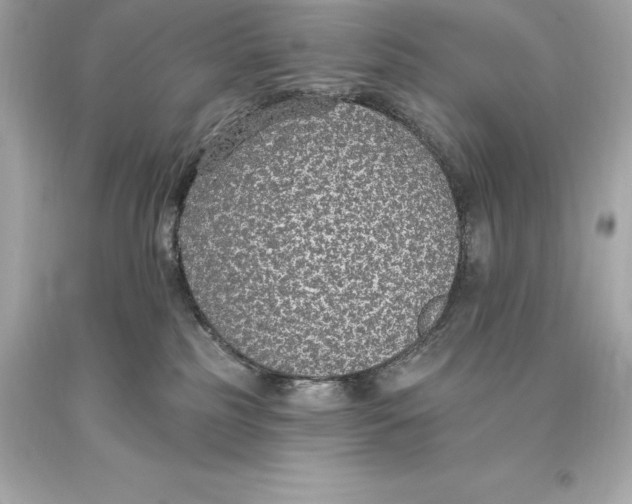 X0000093620185200711051246