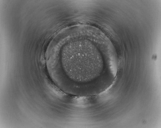 X0000093620186200711051246