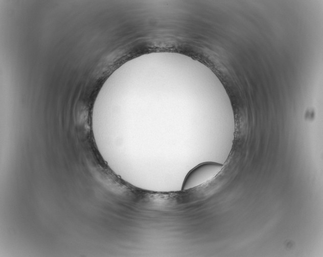 X0000093620187200711051246