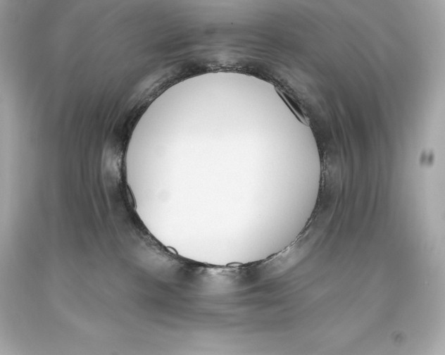 X0000093620188200711051246