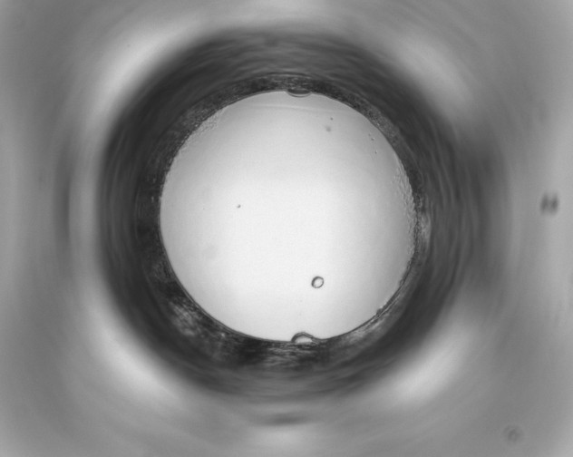 X0000093620190200711051246