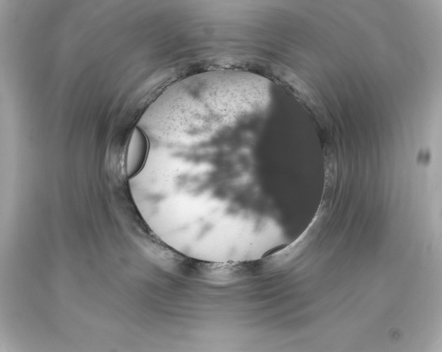 X0000093620191200711051247