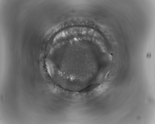 X0000093620192200711051247