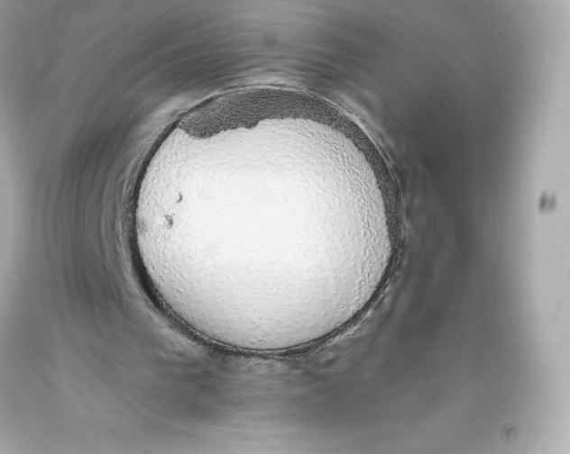 X0000093620193200711051246