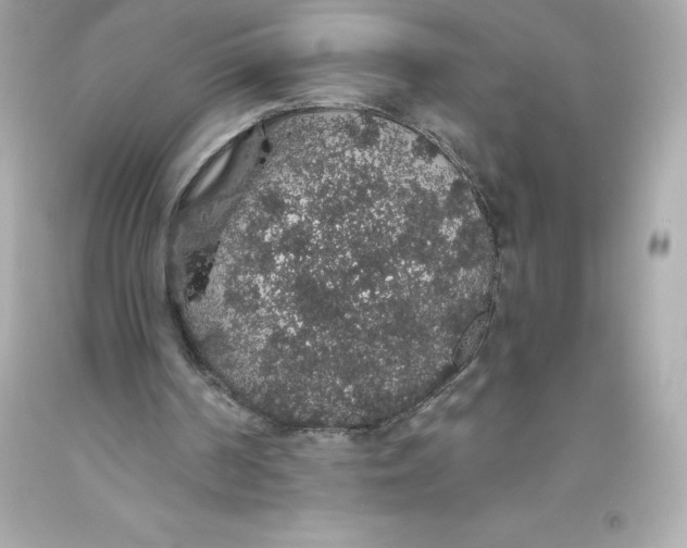 X0000093620194200711051246