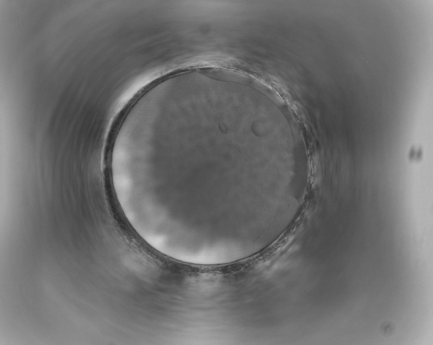 X0000093620196200711051246