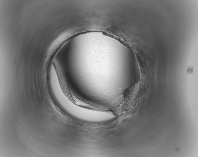 X0000093620197200711051246