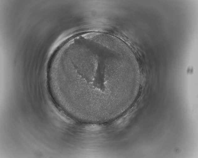 X0000093620198200711051246