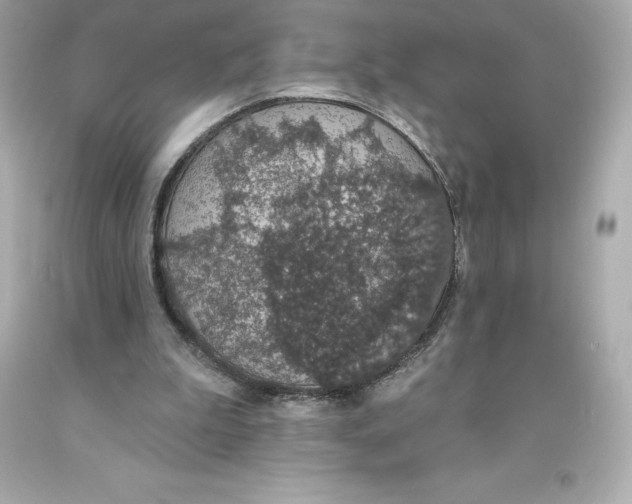 X0000093620199200711051246