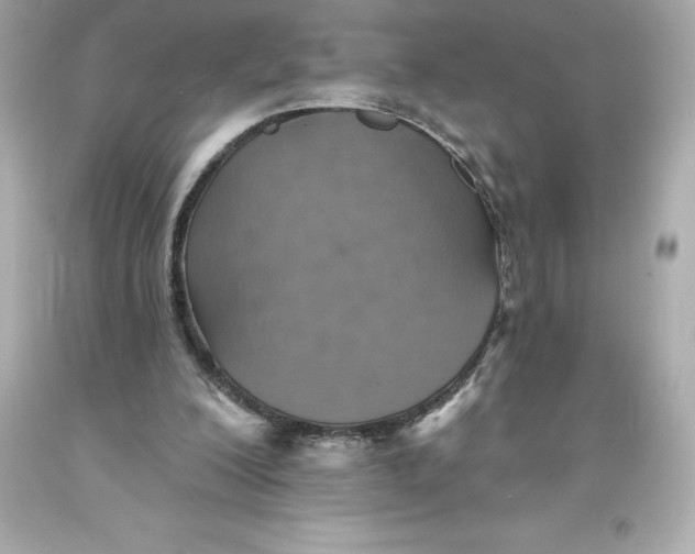 X0000093620200200711051246