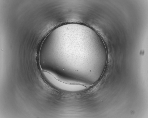 X0000093620201200711051246