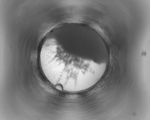 X0000093620202200711051246