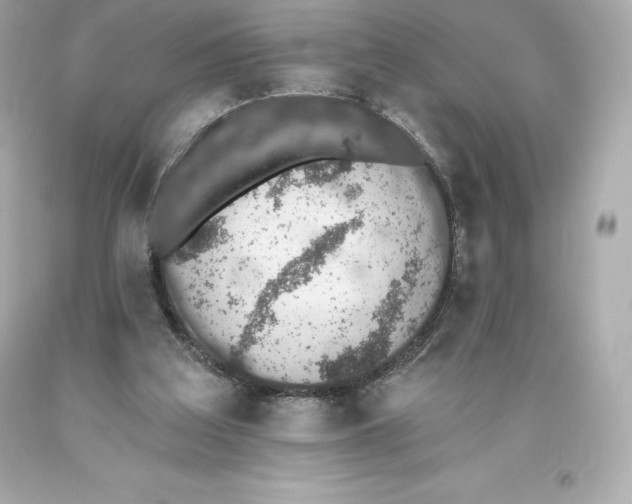 X0000093620203200711051246