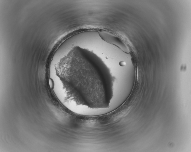 X0000093620204200711051246