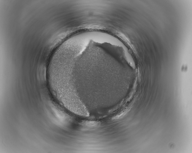 X0000093620205200711051246