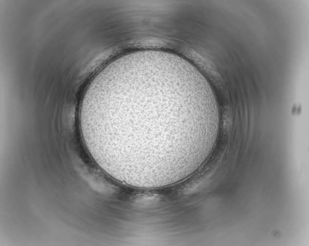 X0000093620206200711051246