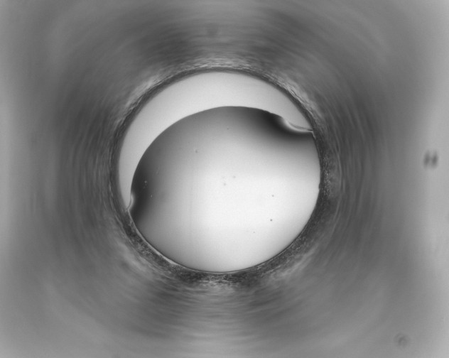 X0000093620207200711051246