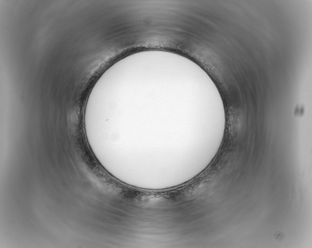 X0000093620208200711051246