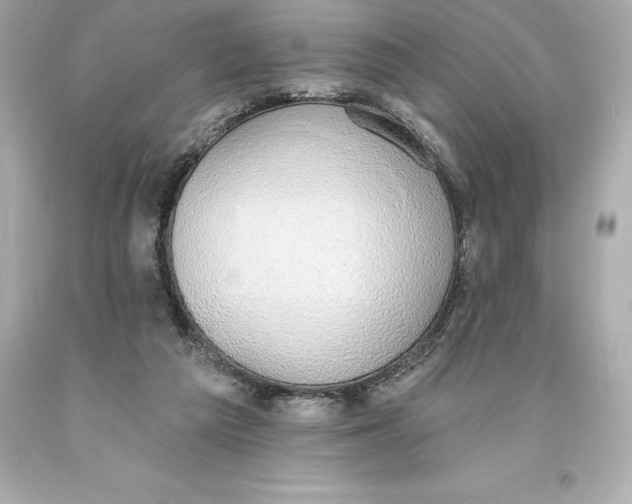 X0000093620209200711051246