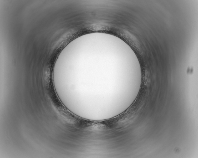 X0000093620210200711051246