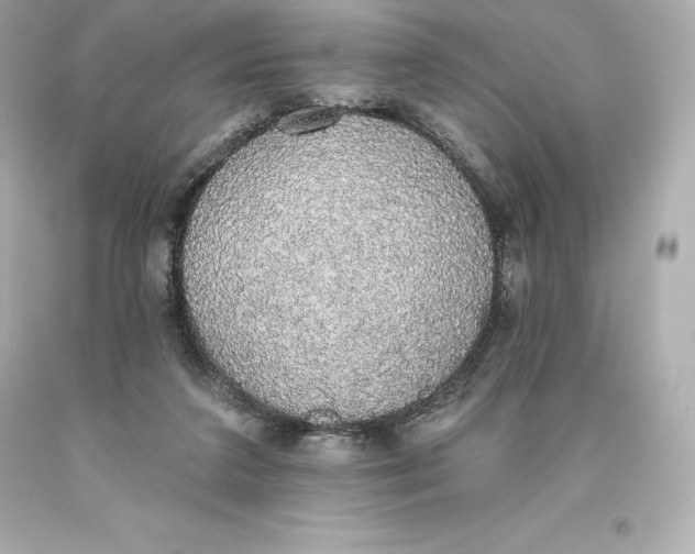 X0000093620211200711051246