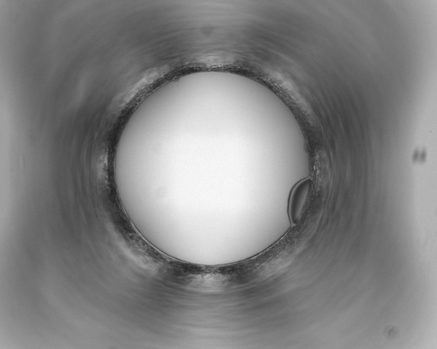 X0000093620212200711051246