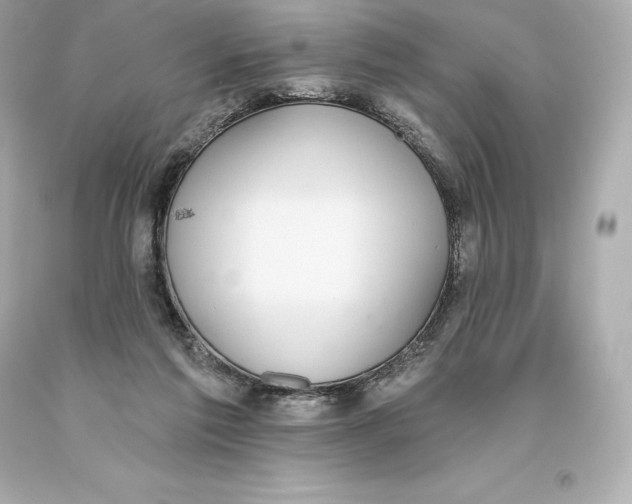 X0000093620213200711051246