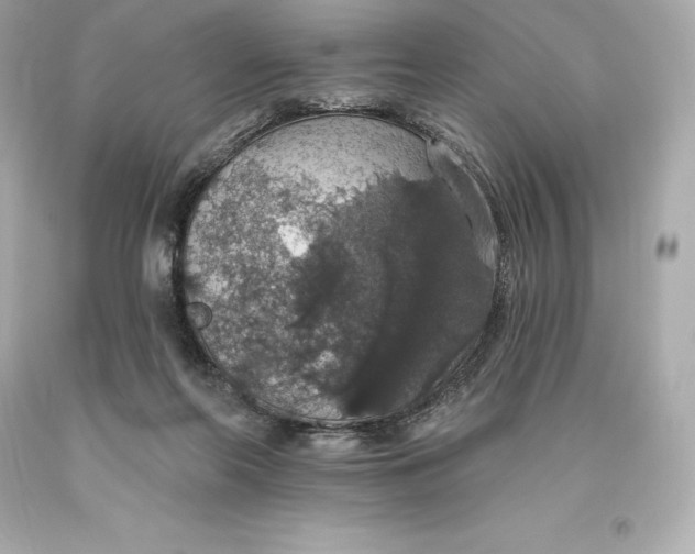 X0000093620214200711051246