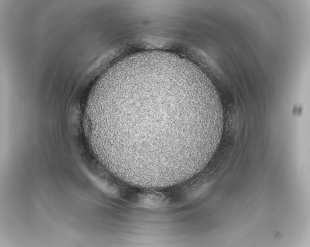 X0000093620215200711051246