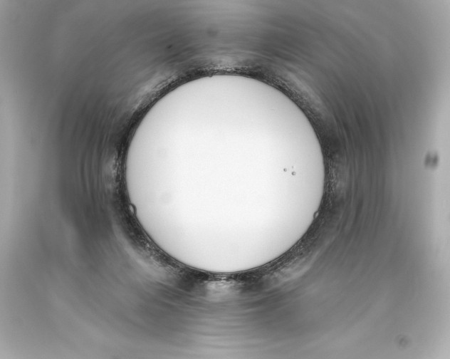 X0000093620216200711051246