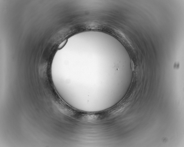 X0000093620217200711051246