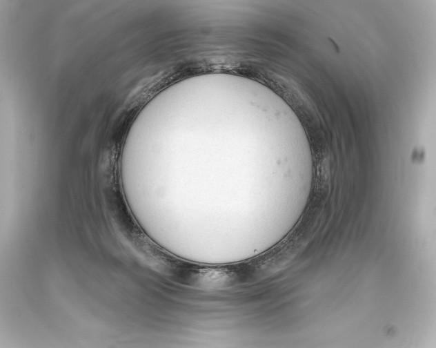 X0000093620218200711051246