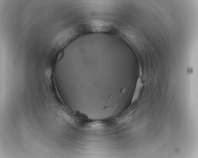 X0000093620219200711051246