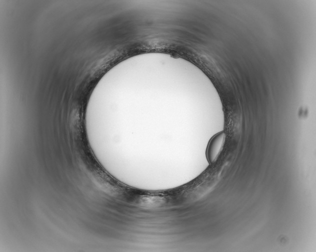 X0000093620220200711051246