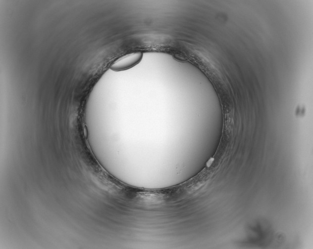 X0000093620221200711051246