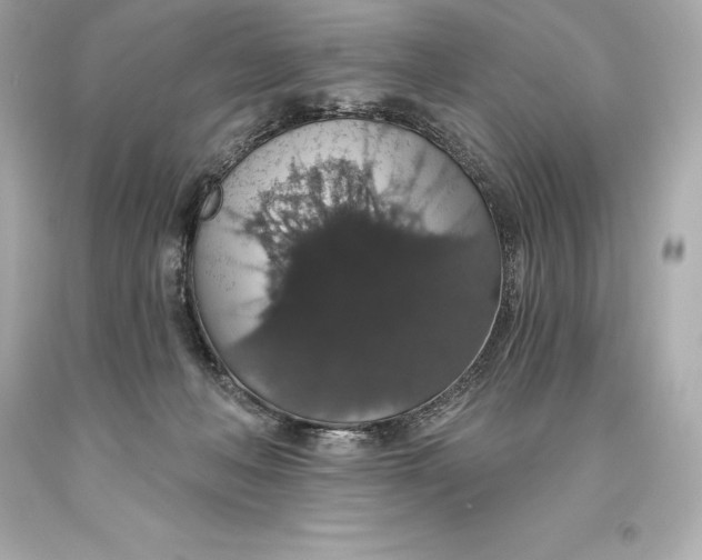 X0000093620222200711051246