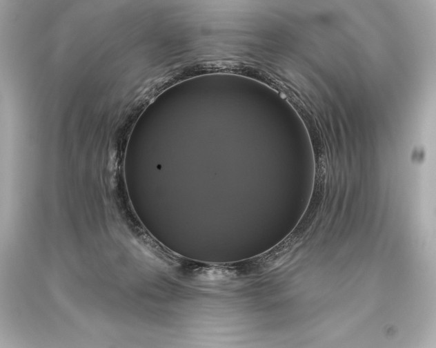 X0000093620223200711051246