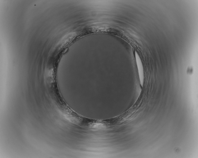 X0000093620224200711051246