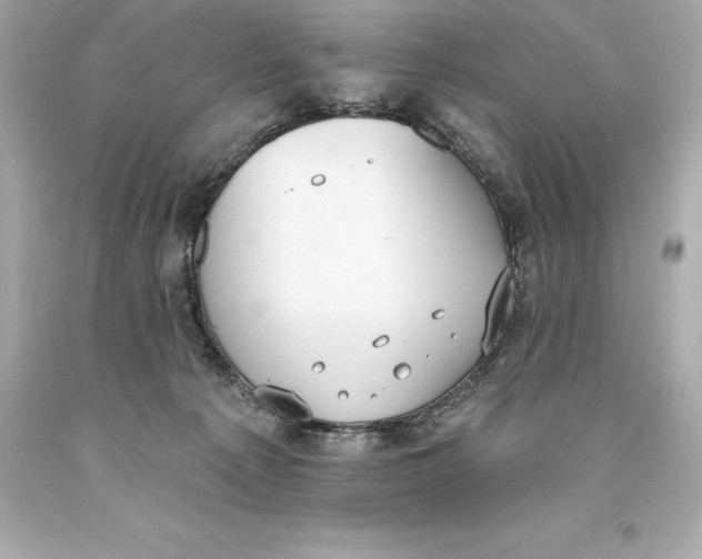 X0000093620225200711051246