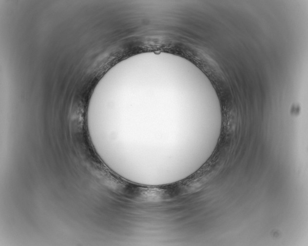 X0000093620226200711051246