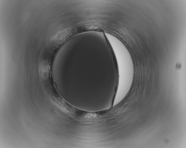 X0000093620227200711051246