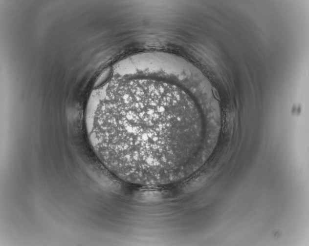 X0000093620228200711051245