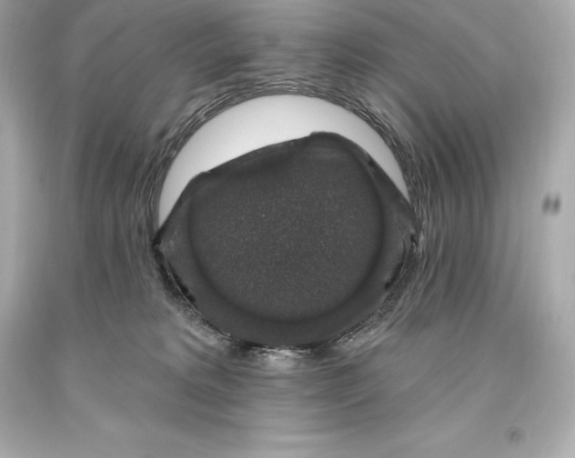 X0000093620229200711051245