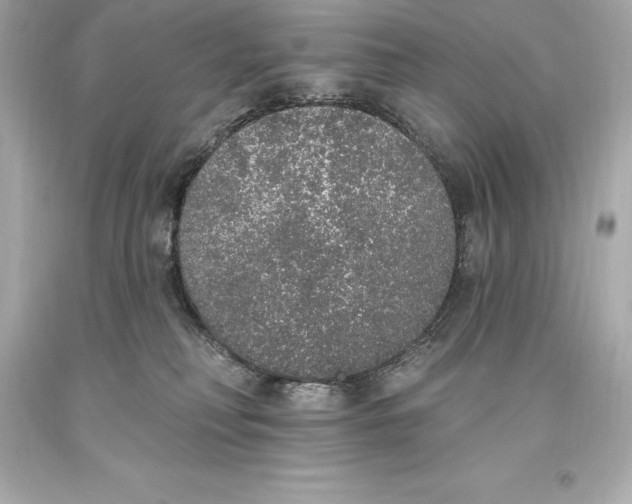 X0000093620230200711051245