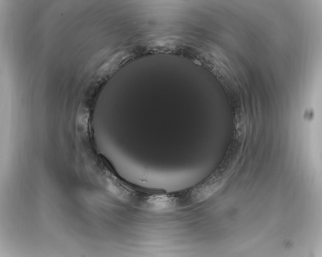 X0000093620231200711051245