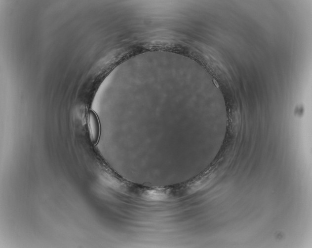 X0000093620232200711051245