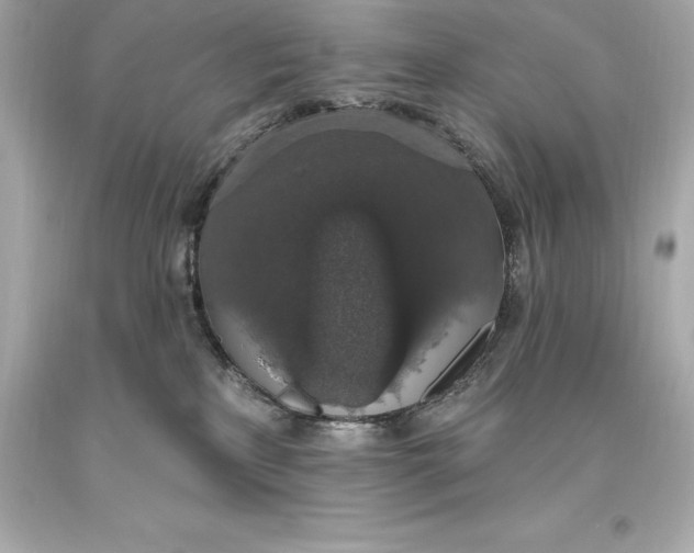 X0000093620233200711051245